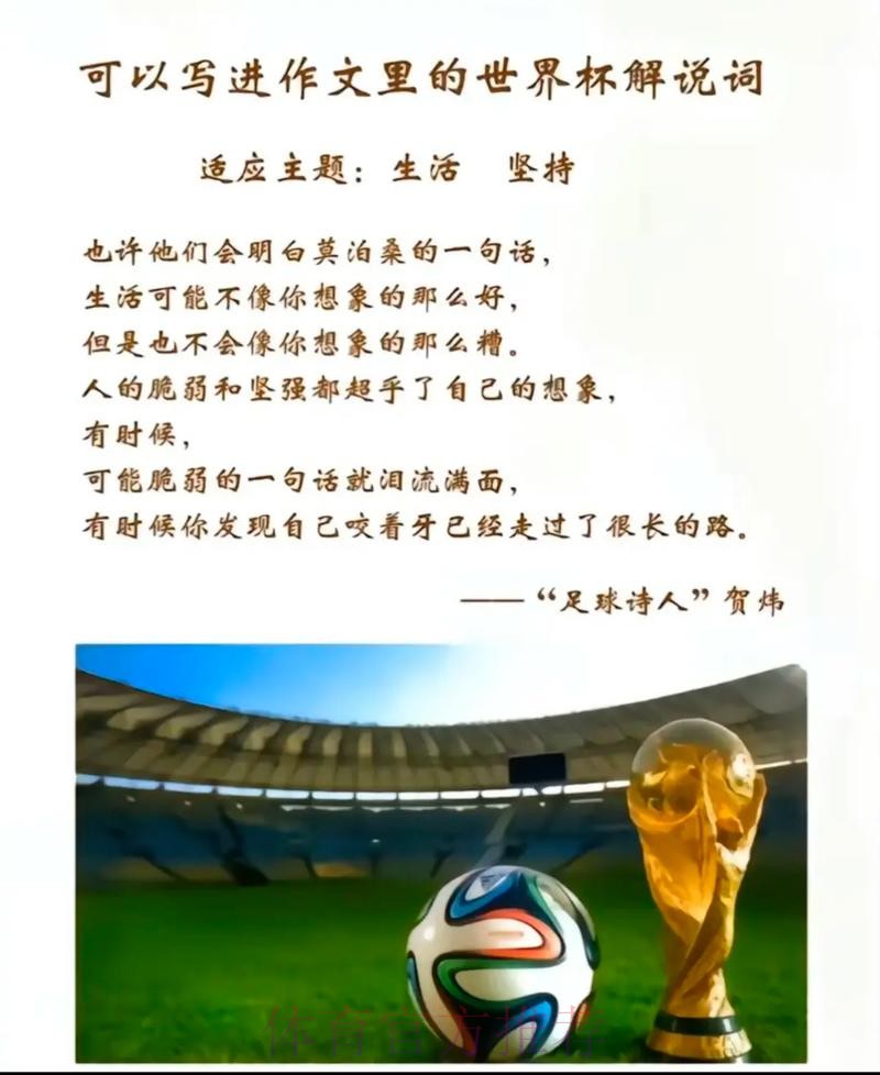 深入解析世界杯下注的真正含义及其影响 深入解析世界杯下注的真正含义及其影响